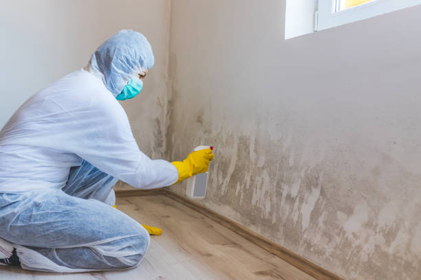 Bathroom Mold Removal assessment in Sharon bathroom